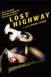 Poster to the movie "Lost Highway" #120873