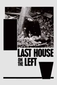 Poster to the movie "The Last House on the Left" #122874