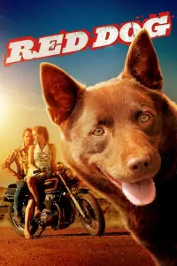 Poster to the movie "Red Dog" #116524