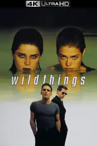 Poster to the movie "Wild Things" #102071