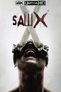 Poster to the movie "Saw X" #227