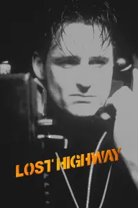 Poster to the movie "Lost Highway" #120876