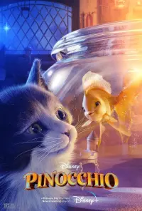 Poster to the movie "Pinocchio" #59578