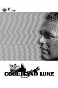 Poster to the movie "Cool Hand Luke" #598695