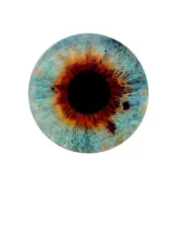 Poster to the movie "I Origins" #205536