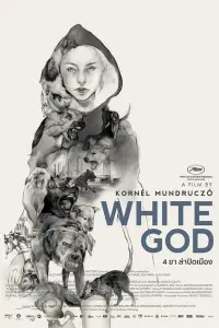 Poster to the movie "White God" #427898