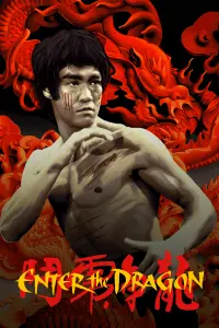 Poster to the movie "Enter the Dragon" #216327