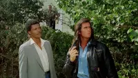 Backdrop to the movie "Samurai Cop" #385528