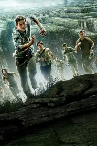 Poster to the movie "The Maze Runner" #234620