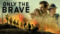 Backdrop to the movie "Only the Brave" #218392