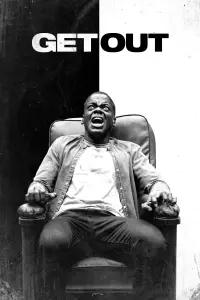 Poster to the movie "Get Out" #49615