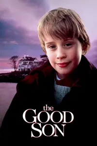 Poster to the movie "The Good Son" #78309