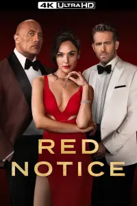 Poster to the movie "Red Notice" #29541