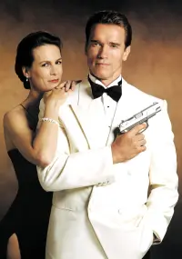 Poster to the movie "True Lies" #454295