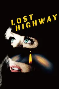 Poster to the movie "Lost Highway" #120880