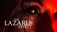 Backdrop to the movie "The Lazarus Effect" #149939