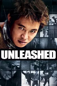 Poster to the movie "Unleashed" #127833