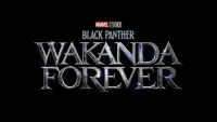 Backdrop to the movie "Black Panther: Wakanda Forever" #4262