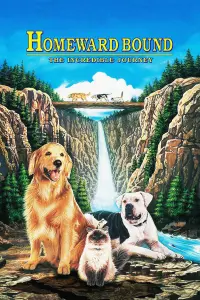 Poster to the movie "Homeward Bound: The Incredible Journey" #251067