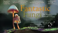 Backdrop to the movie "Fantastic Fungi" #364909