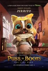 Poster to the movie "Puss in Boots: The Last Wish" #4190