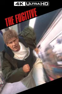 Poster to the movie "The Fugitive" #213433