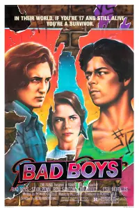 Poster to the movie "Bad Boys" #148055