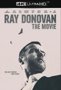 Poster to the movie "Ray Donovan: The Movie" #125592