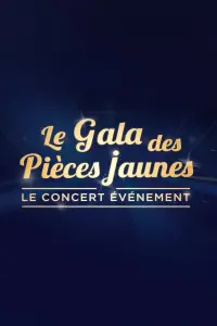 Poster to the movie "Le gala des pièces jaunes : Le concert événement" #410012