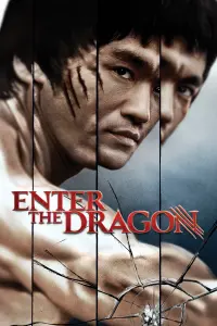 Poster to the movie "Enter the Dragon" #65967