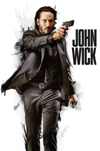 Poster to the movie "John Wick" #51545