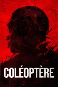 Poster to the movie "Coléoptère" #507572