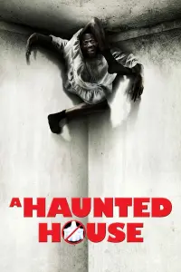 Poster to the movie "A Haunted House" #71662