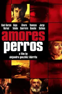 Poster to the movie "Amores Perros" #204147