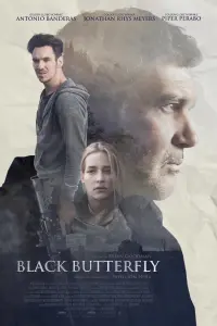 Poster to the movie "Black Butterfly" #295869