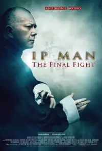 Poster to the movie "Ip Man: The Final Fight" #302382