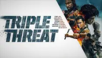 Backdrop to the movie "Triple Threat" #290852