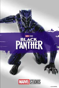 Poster to the movie "Black Panther" #219875