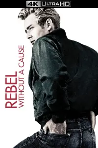 Poster to the movie "Rebel Without a Cause" #121099