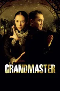 Poster to the movie "The Grandmaster" #275663