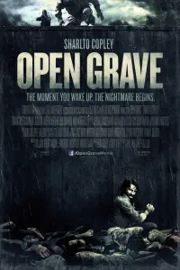 Poster to the movie "Open Grave" #346544