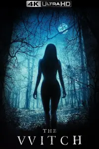 Poster to the movie "The Witch" #66191