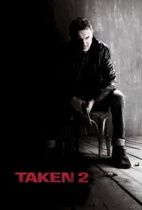 Poster to the movie "Taken 2" #43250