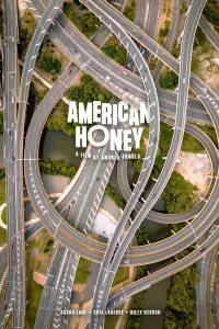 Poster to the movie "American Honey" #261732