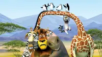 Backdrop to the movie "Madagascar: Escape 2 Africa" #315900