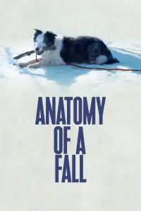 Poster to the movie "Anatomy of a Fall" #193046