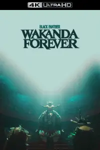 Poster to the movie "Black Panther: Wakanda Forever" #4334