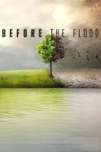 Poster to the movie "Before the Flood" #119743