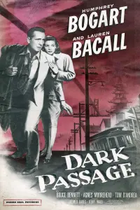 Poster to the movie "Dark Passage" #228638