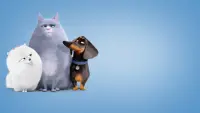 Backdrop to the movie "The Secret Life of Pets" #559386